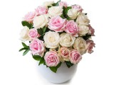 23 trandafiri roz si albi